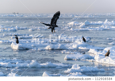 Sunrise and drift ice from Kunashir Island 112916584