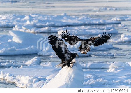 國後島的日出和流冰 112916604