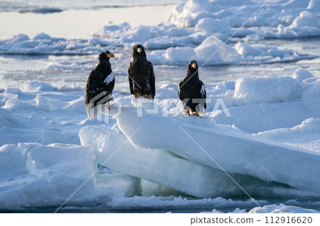 國後島的日出和流冰 國後島的日出和流冰 112916620
