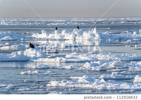 國後島的日出和流冰 112916632