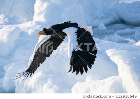 Sunrise and drift ice from Kunashir Island 112916649