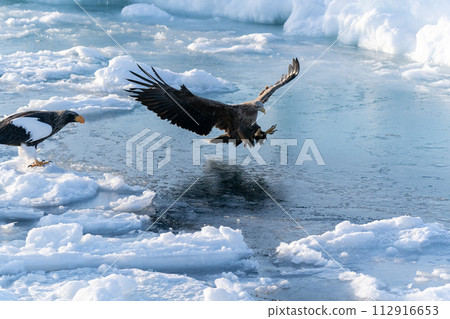 國後島的日出和流冰 112916653