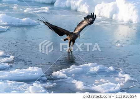國後島的日出和流冰 112916654