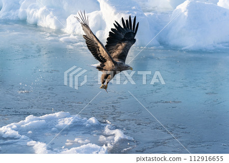 國後島的日出和流冰 112916655