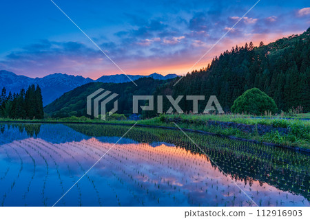 （長野縣）夕陽下的白馬村和青荷村的梯田和北阿爾卑斯山 112916903