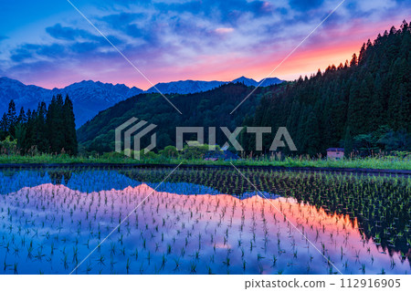 (長野縣)夕陽下的白馬村和青荷村的梯田和北阿爾卑斯山 (長野縣)夕陽下的白馬村和青荷村的梯田和北阿爾卑斯山 112916905