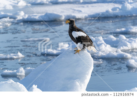 Sunrise and drift ice from Kunashir Island Sunrise and drift ice from Kunashir Island 112916974