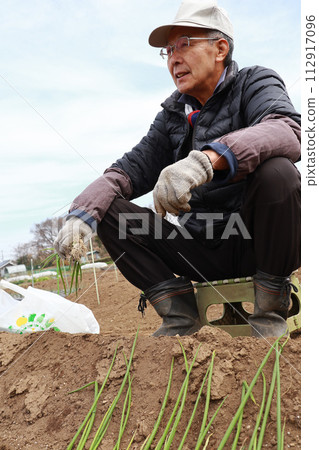 Senior planting onion 112917096