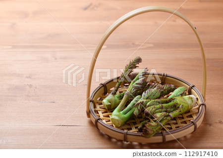 野菜之王鱈魚芽 野菜之王鱈魚芽 112917410