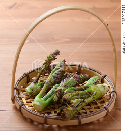 King of wild vegetables, cod sprouts 112917411