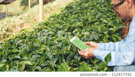 Smart farmer holding smartphone in eco green farm sustainable quality control. Close up Hand control planting tree. Farmer hands cultivated fresh garden in eco biotechnology. Farmland technology 112917592