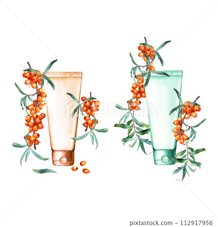 Collection with sea buckthorn branches, berries, leaves and plastic tube for cream, lotion, mask, shampoo. Hand drawn watercolor illustration isolated on white background. For clip art label package Collection with sea buckthorn branches, berries, leaves and plastic tube for cream, lotion, mask, shampoo. Hand drawn watercolor illustration isolated on white background. For clip art label package 112917956