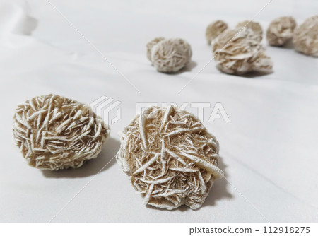 沙漠的玫瑰 112918275