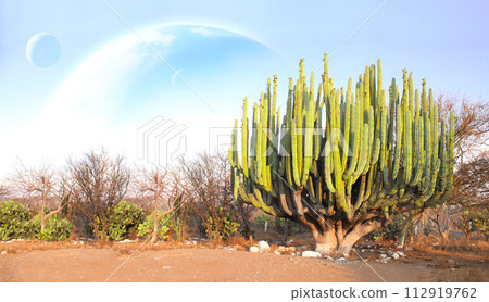 Fantastic scenic with sand desert, giant cacti and planets in sky. Beautiful landscape with red sand dunes, cactus and three planets in blue sky. 3d render 112919762