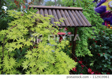 theme Floral Joy Around Tow, HK Flower Show March 15 2024 theme Floral Joy Around Tow, HK Flower Show March 15 2024 112919961