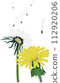 Dandelion's fluff 112920206