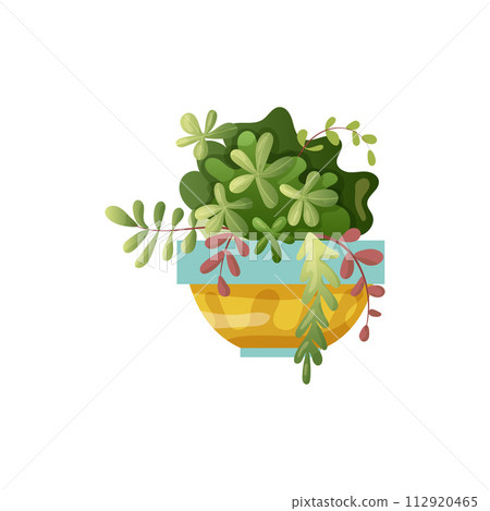 Houseplant plant growing in pots. Beautiful home decorations, plants isolated on white background. Cartoon flat illustration. 112920465