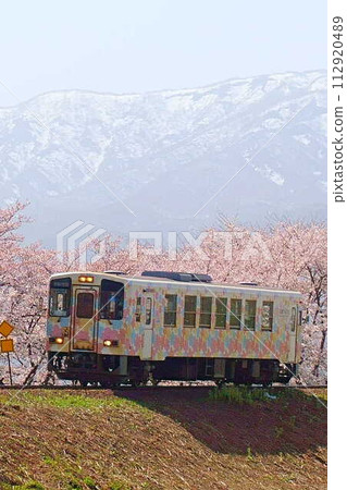 Cherry blossoms in full bloom, remaining snow, Flower Nagai Line, Yamagata Railway Cherry blossoms in full bloom, remaining snow, Flower Nagai Line, Yamagata Railway 112920489