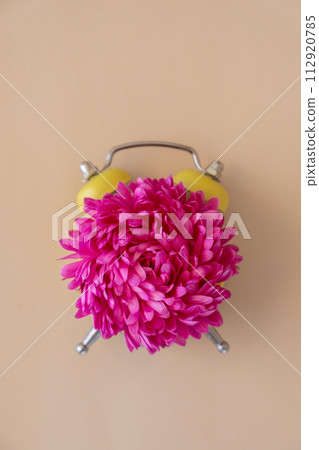 Composition of flower and alarm clock. Concept of changing summer winter time on beige background 112920785