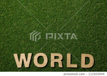The word world in wooden letters on green grass The word world in wooden letters on green grass 112920944