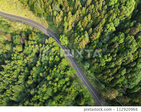 Aerial view asphalt road and green forest 112920968