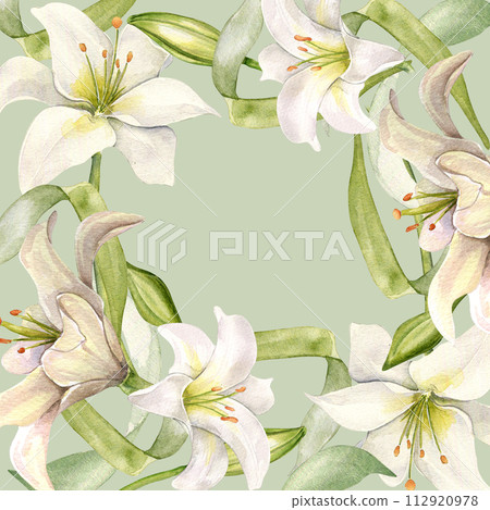 White lily and buds watercolor isolated on gray. White flower and stem botanical Illustration hand drawn. Frame with lily and leaves. Design for wedding invitation in church, christen, Easter card 112920978