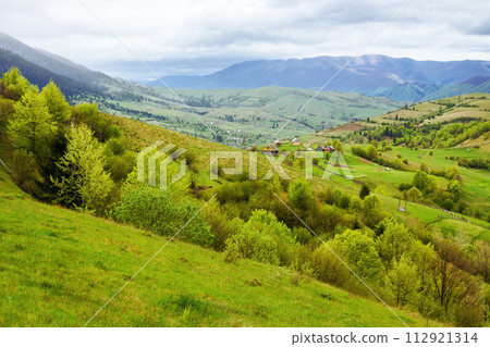 carpathian countryside scenery of ukraine on a cloudy day in spring. forest on a grassy hills in valley. krasna mountain range in the far distance beneath an overcaset sky 112921314