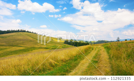 path through grassy meadow. green hills rolling in to the distance. blue sky above the distant mountain ridge on the horizon. rural tourism in summer. explore countryside of ukraine 112921335