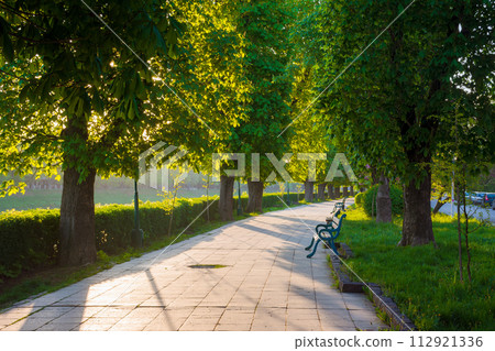 avenue with chestnut trees. bench on the side of a paved footpath. beautiful urban springtime scenery of uzhhorod city in morning light avenue with chestnut trees. bench on the side of a paved footpath. beautiful urban springtime scenery of uzhhorod city in morning light 112921336