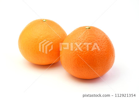 柑橘（貝尼公主） 112921354