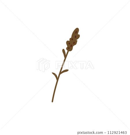 Lavender sprig vector illustration 112921463