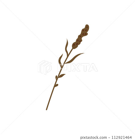 Magic sprig of herb vector icon for witchcraft and alchemy. 112921464