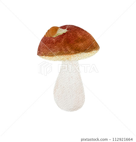 Porcini mushroom with a snail watercolor isolated on white Porcini mushroom with a snail watercolor isolated on white 112921664