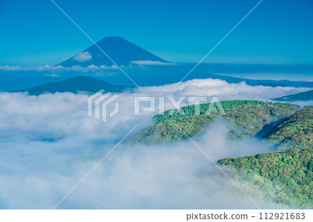 (Kanagawa Prefecture) Mt. Fuji seen from Hakone Daikanzan in the sea of clouds 112921683