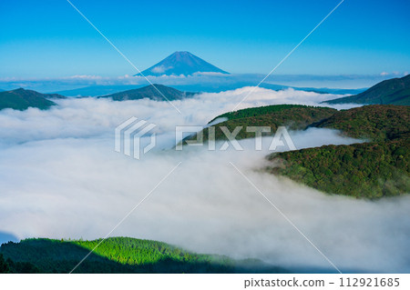 (Kanagawa Prefecture) Mt. Fuji seen from Hakone Daikanzan in the sea of clouds 112921685
