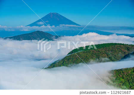 (Kanagawa Prefecture) Mt. Fuji seen from Hakone Daikanzan in the sea of clouds 112921687