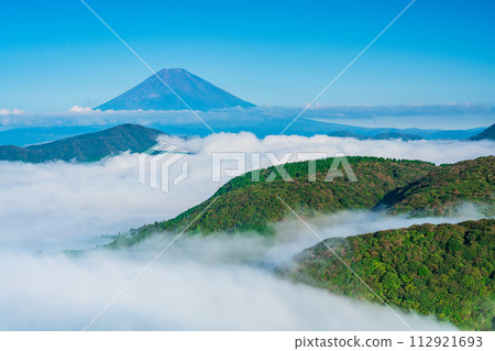 (Kanagawa Prefecture) Mt. Fuji seen from Hakone Daikanzan in the sea of clouds 112921693