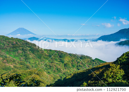 (Kanagawa Prefecture) Mt. Fuji seen from Hakone Daikanzan in the sea of clouds 112921700