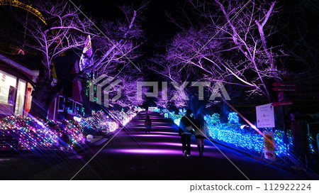 櫻花綻放前的夜間燈光照明 櫻花綻放前的夜間燈光照明 112922224