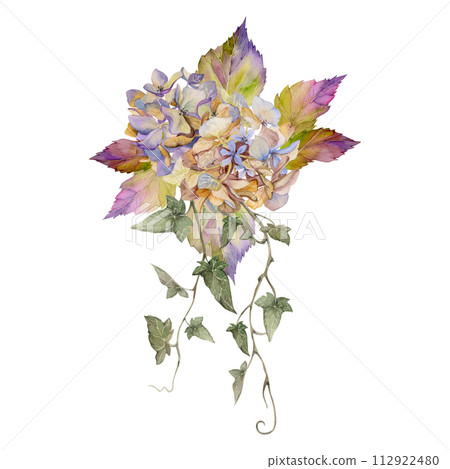 Hand drawn watercolor illustration shabby boho botanical flowers leaves. Hydrangea hortensia ivy creepers silver cineraria. Bride bouquet isolated on white background. Design wedding, love cards, shop 112922480