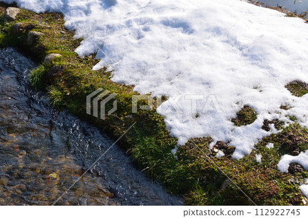 Early spring, melting snow 112922745