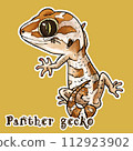 豹貓守宮Panther gecko 112923902