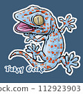 大守宮 tokay gecko 112923903
