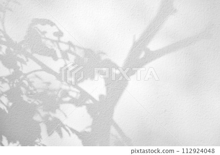 Abstract natural tree leaves shadow on white wall background 112924048