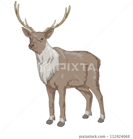 麋鹿elk 112924068