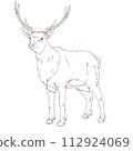 麋鹿elk 112924069