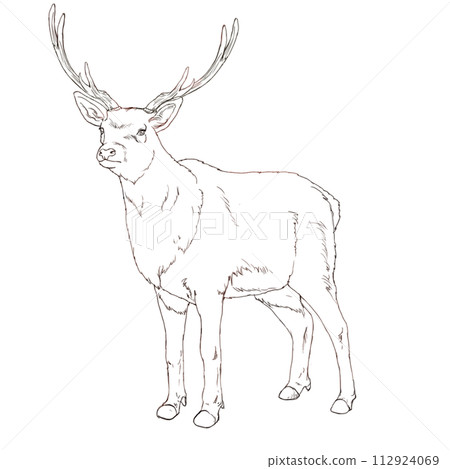麋鹿elk 112924069
