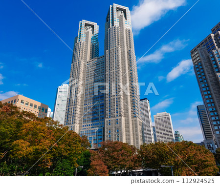秋天的東京都廳大廈在晴朗的藍天的襯托下高聳入雲(東京都新宿區) 秋天的東京都廳大廈在晴朗的藍天的襯托下高聳入雲(東京都新宿區) 112924525