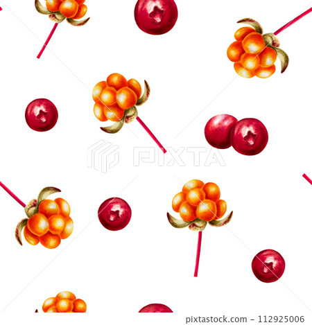 Watercolor seamless pattern with northern forest berry cloudberry, lingonberry, cranberry and cowberry illlustration. Juicy orange and red berries isolated on background. Clip art for designers 112925006