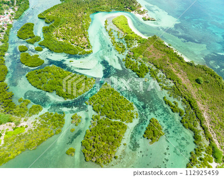 Aerial view of islands in a beautiful lagoon. Tropical landscape. Bantayan island, Philippines. 112925459